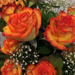 Meet your Posher, Carilu